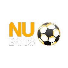 Nubots logo