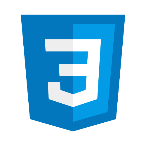 CSS skill logo