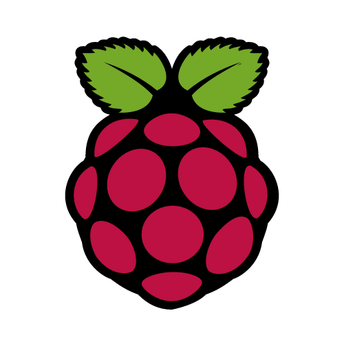 Raspberry Pi skill logo